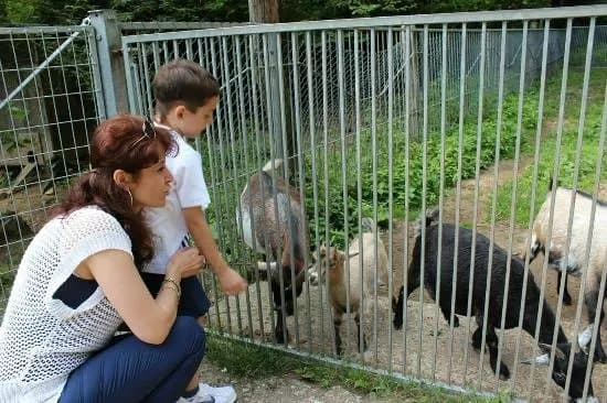 Zoo Al Maglio