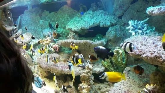 Oceanarium Kolobrzeg