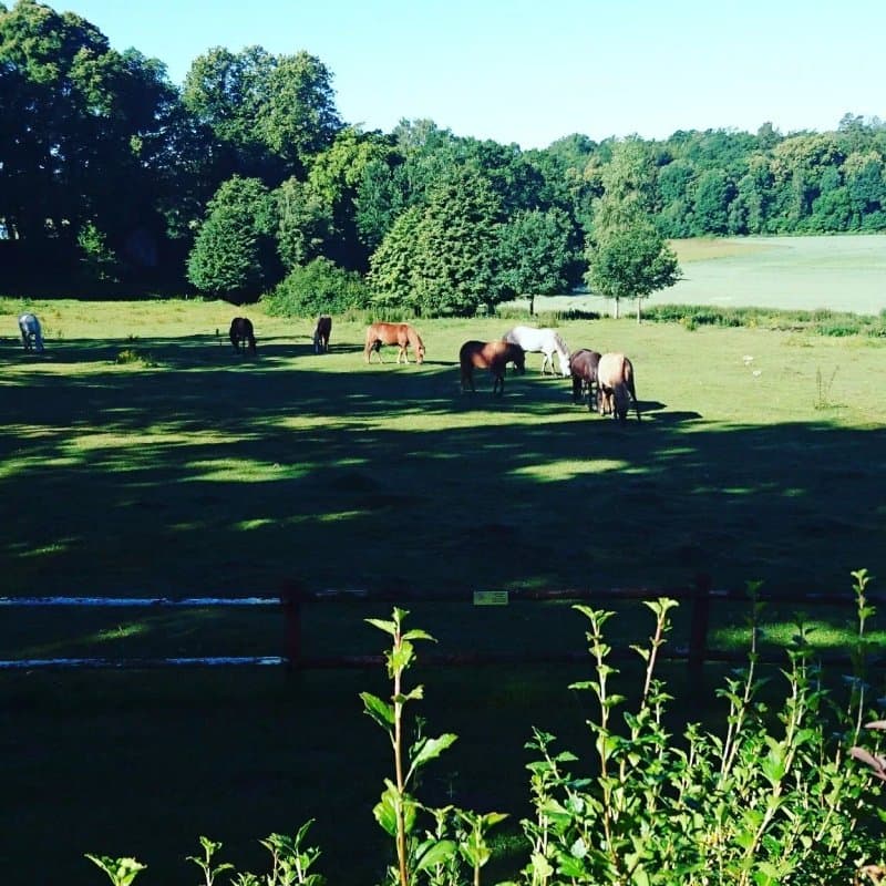 Pagelsborgs Gård B&B