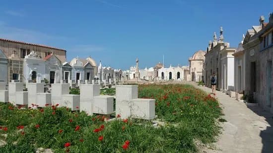 Cimetiere Marin de Bonifacio