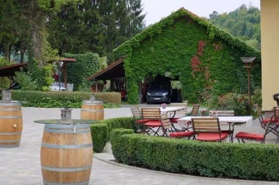 Vino Gaube