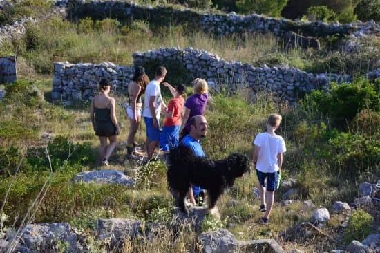 Vis Walking Tours