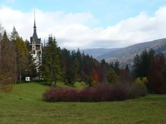 Tour Guide Brasov