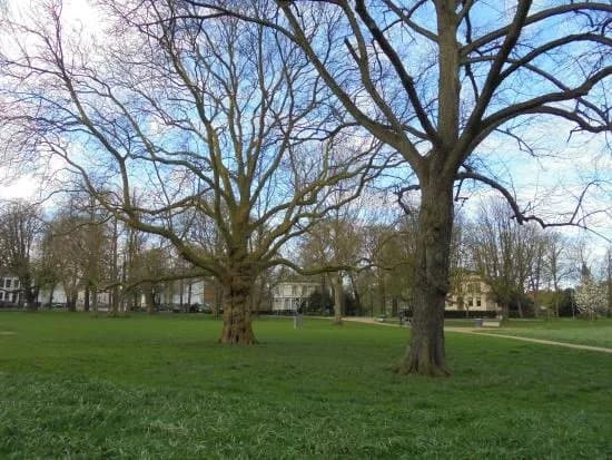 Kenaupark