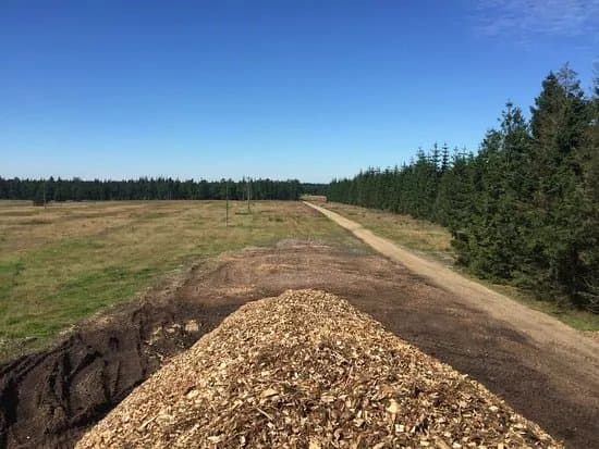 Klelund Plantage
