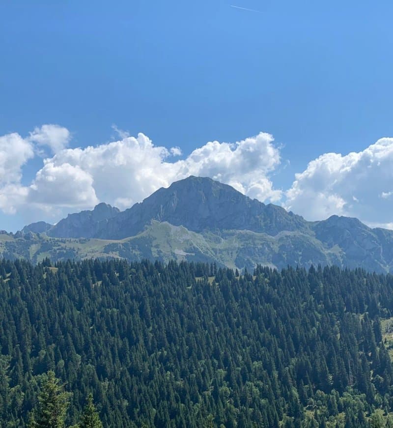 Les Balcons Du Leman
