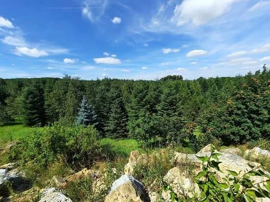 Forstbotanischer Garten Thrandt