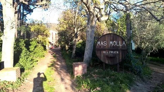Mas Molla Des de 1338