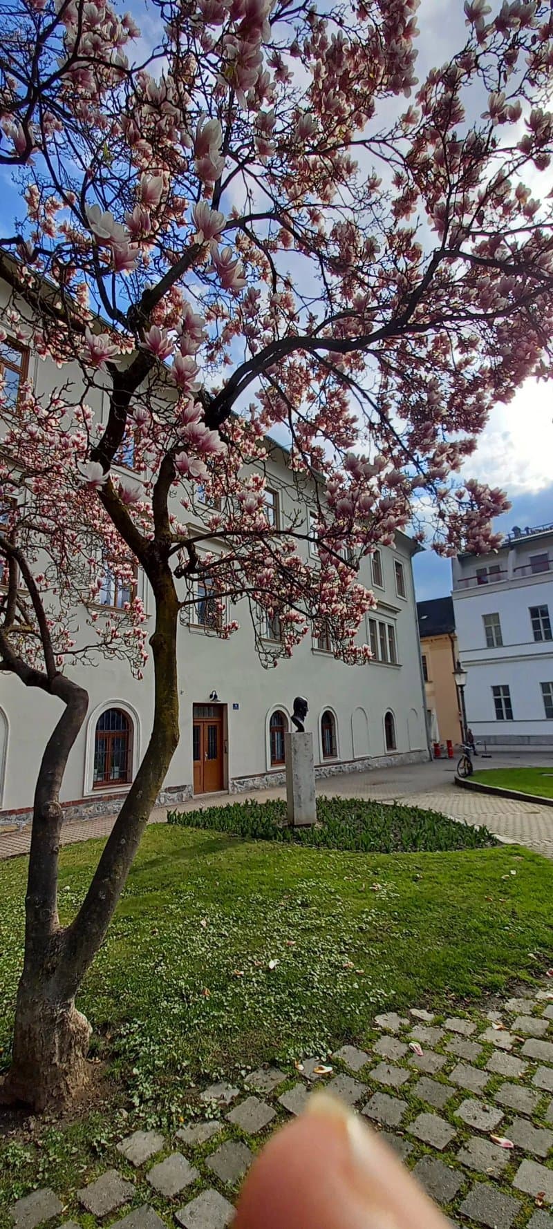 Peter-Tunner-Park