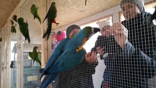 Zoo Kontakt