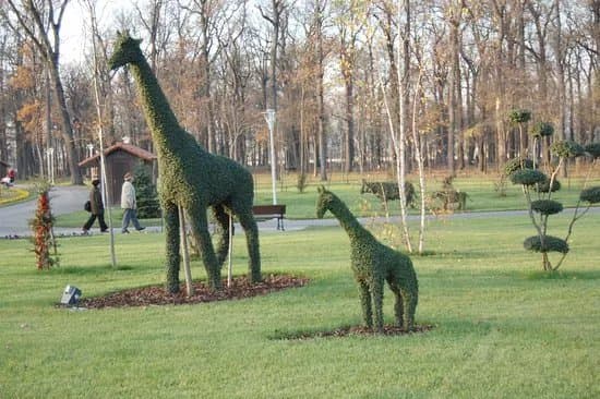 Tineretului Park