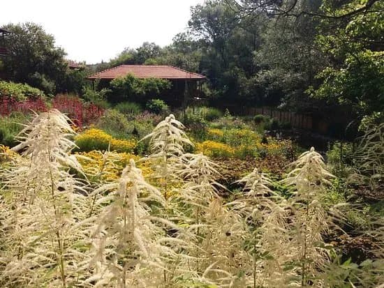 Botanic Garden Borika