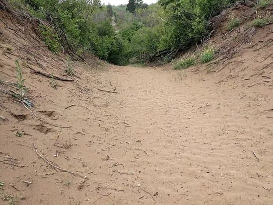 Deliblato Sands