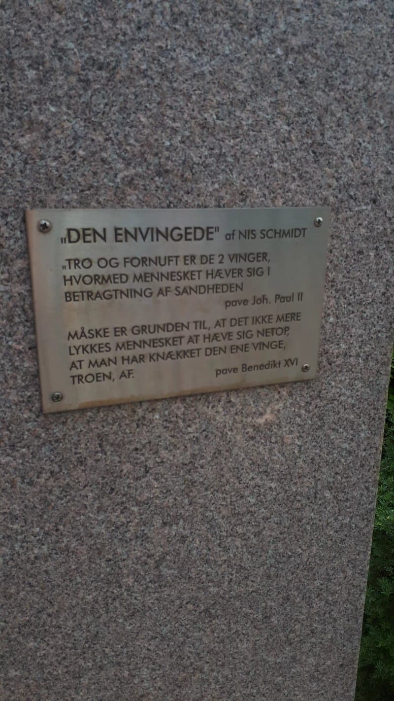 Den Envingede