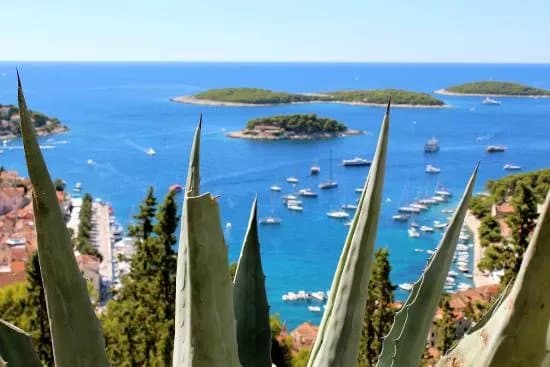 Amazing Hvar Day Tours