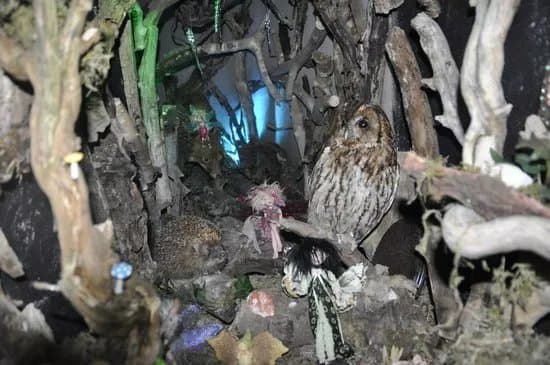 Leprechaun and Fairy Underground Cavern