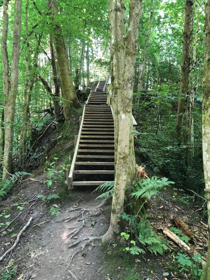 Holtnesdalen