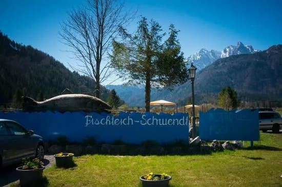 Quellfisch Fischteich Schwendt
