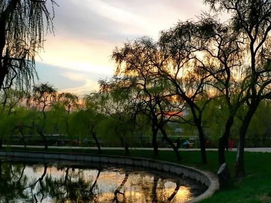 Parcul Morarilor