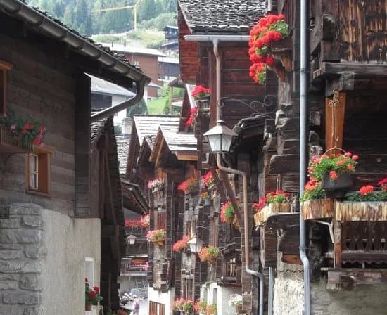 Chemin Des Geraniums