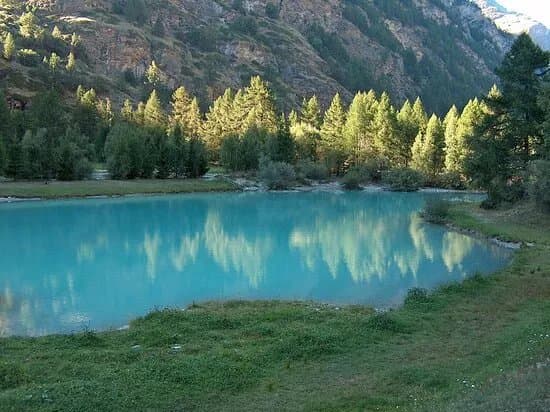 Schalisee
