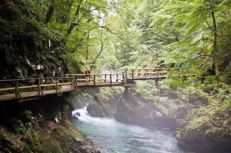 Bela Luna—Where Serenity Meets Adventure Near Bled