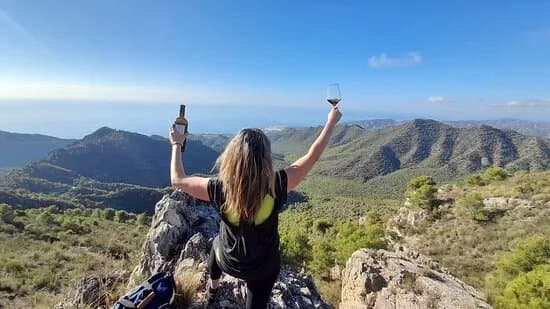 El Colmao Wine and Experiences