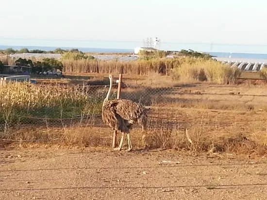 Famagusta Viewpoint & Mini Zoo