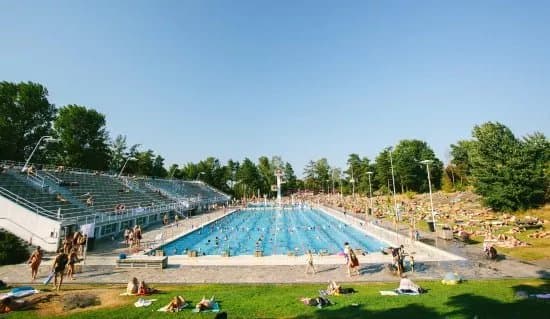The Swimming Stadium