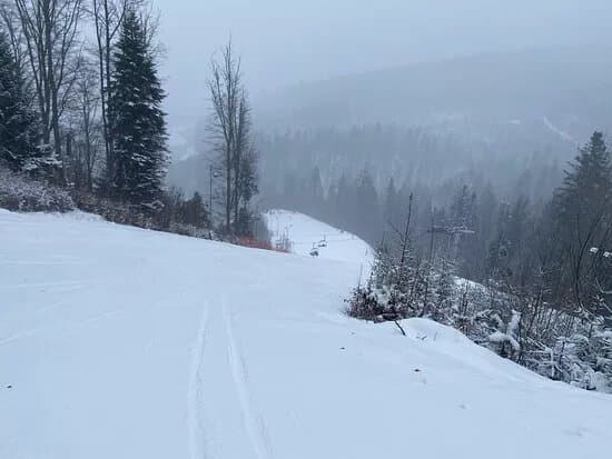 Partia De Ski Soimul Gura Humorului