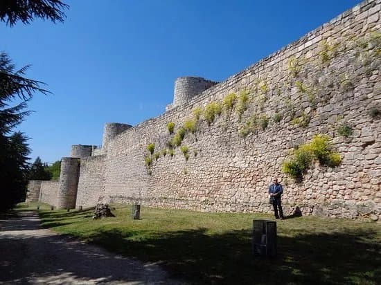 Castillo de Burgos