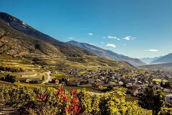Vineyards Trail