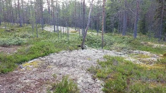 Seinavuori Gorge
