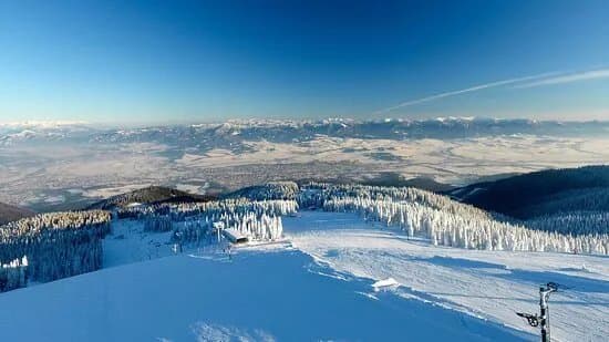 Winter Park Martinky