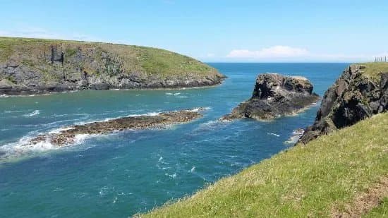 Cardigan Island Coastal Farm Park