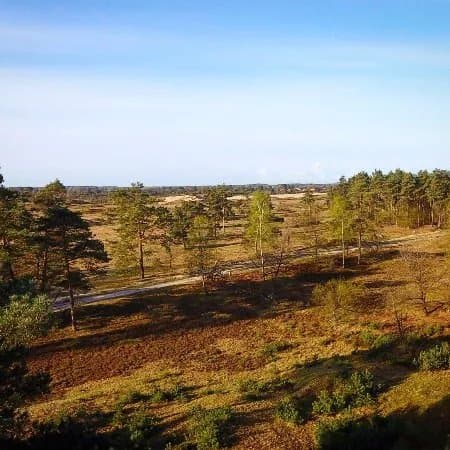 Nationaal Park Drents-Friese Wold
