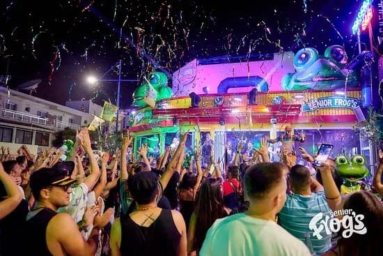 Senior Frog's Party Bar