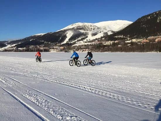 Are Bikes