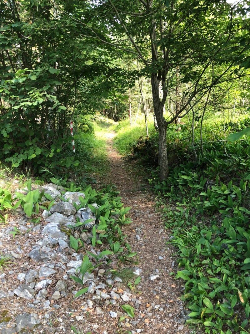 Holtnes-haraldsfjellet