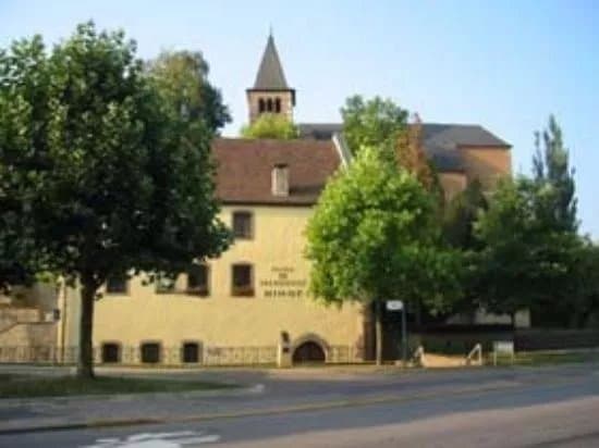 Musee de Prehistoire