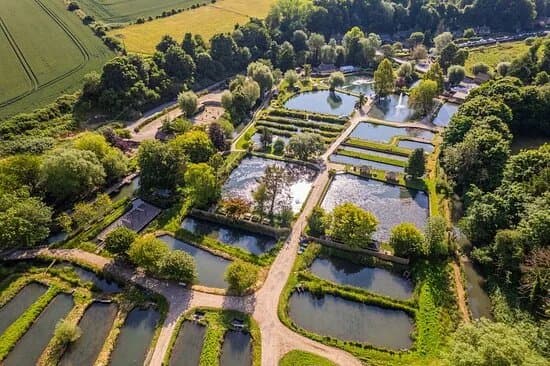 Bibury Trout Farm