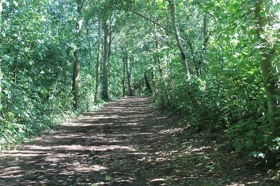 Angelteich Vroonplas