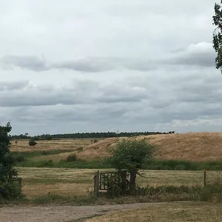 Skanors borg