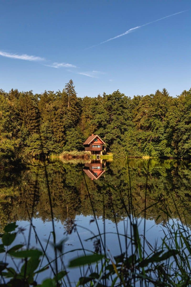 Partovec Biotope