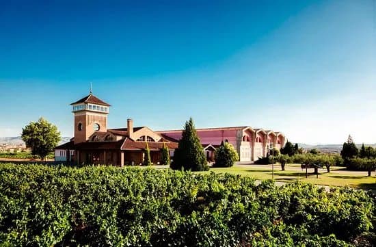 Bodegas Vina Ijalba S.A.