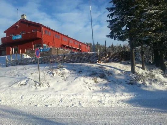 Skistua