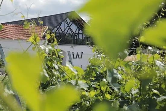 "Flanerie gourmande dans les vignes" par Domaine W