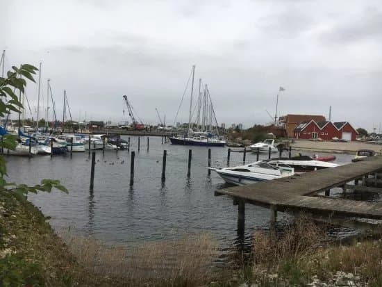 Broendby Havn