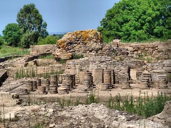 Archaeological Museum of Ancient Elis