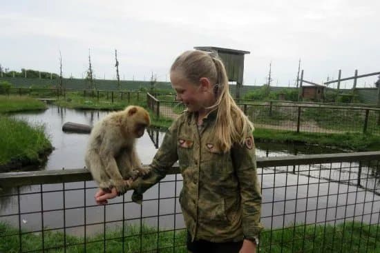 Blavand Zoo
